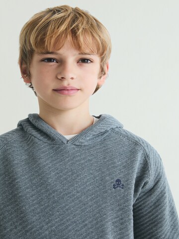 Scalpers Collegepaita värissä harmaa