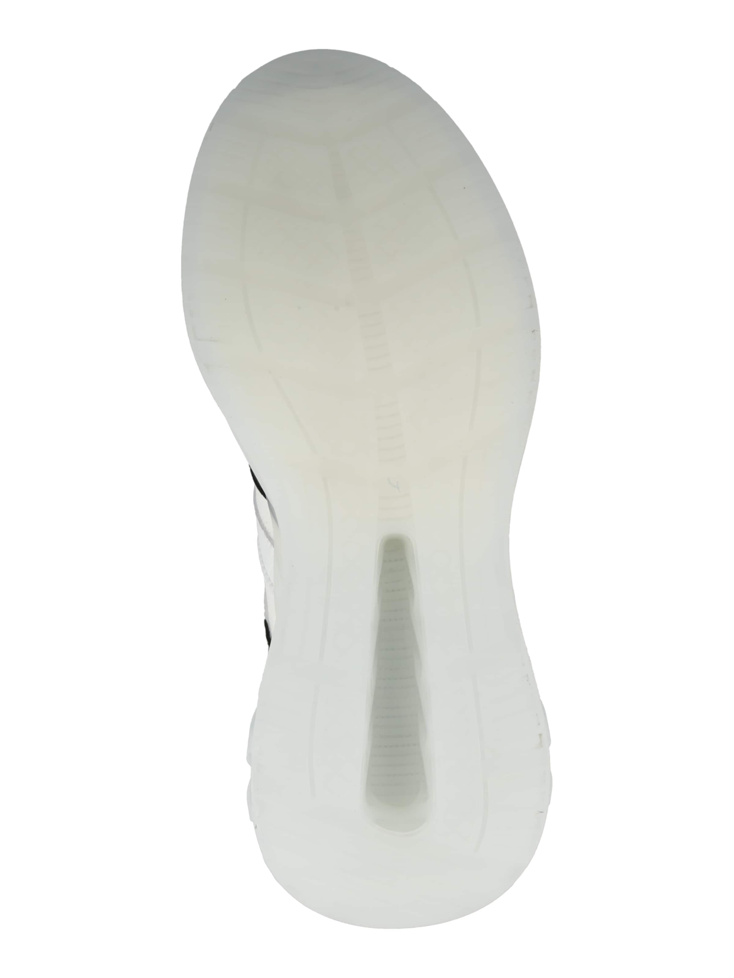 Plein Sport - Zapatillas deportivas bajas 'Tiger' en blanco