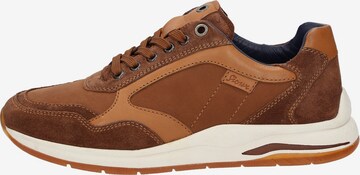 SIOUX Sneakers laag 'Turibio-711-J' in Bruin