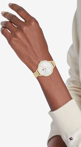 TOMMY HILFIGER Analog Watch in Gold