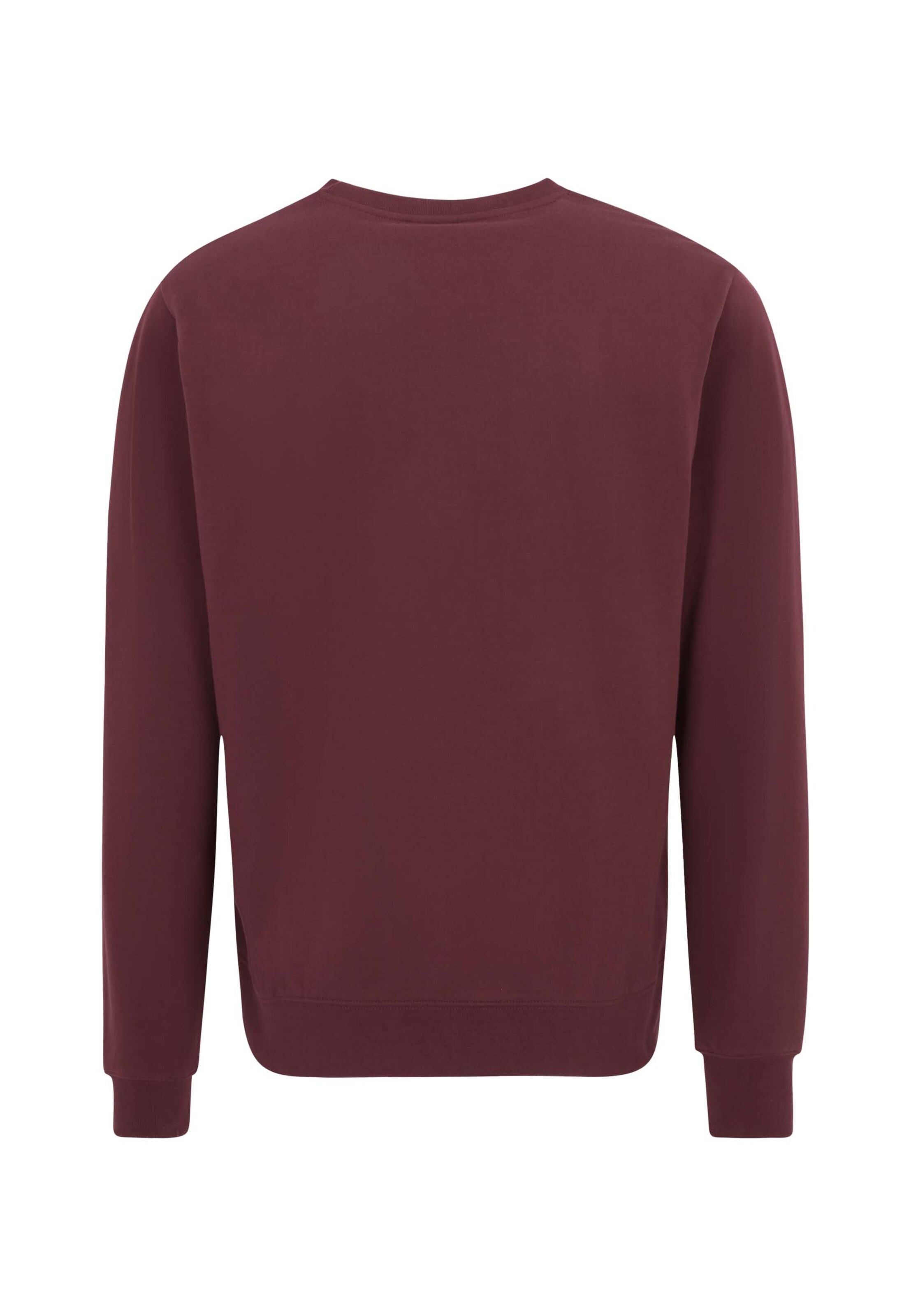 Oldskull Sweatshirt 'Retro Pixel Wave Logo Graphic' in Rood