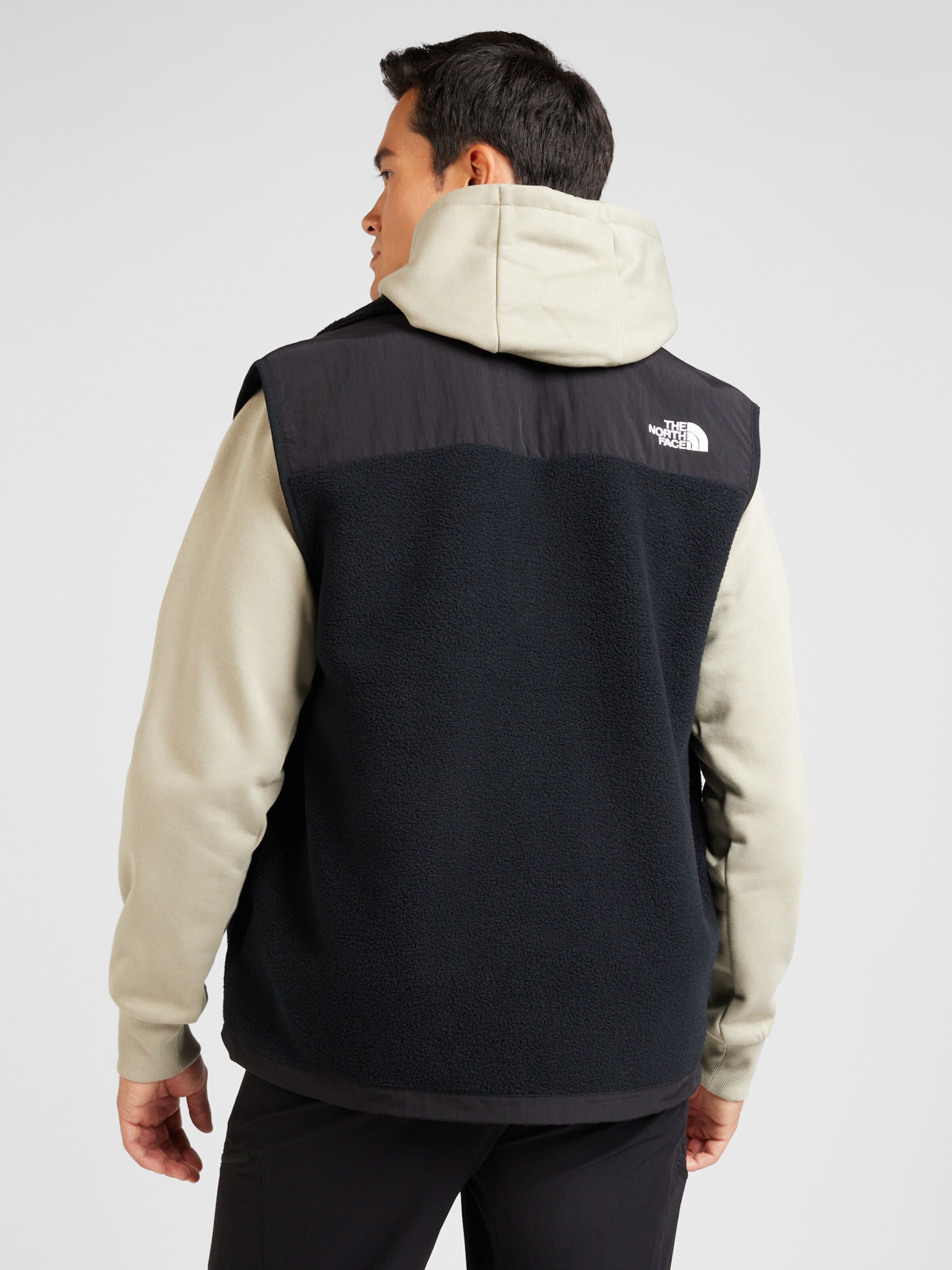 THE NORTH FACE Bodywarmer 'RETRO DENALI' in Zwart | ABOUT YOU