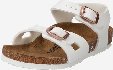 BIRKENSTOCK Sandaler 'Rio' i hvid: forside