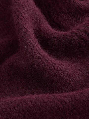 Next Rok in Rood