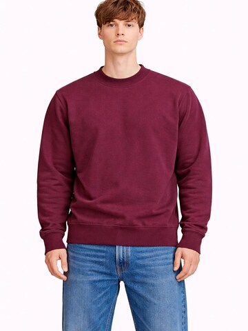A Question Of (AQO) Sweatshirt 'Johannes' in Purple: front