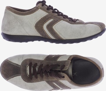 GEOX Sneakers & Trainers in 42 in Beige: front
