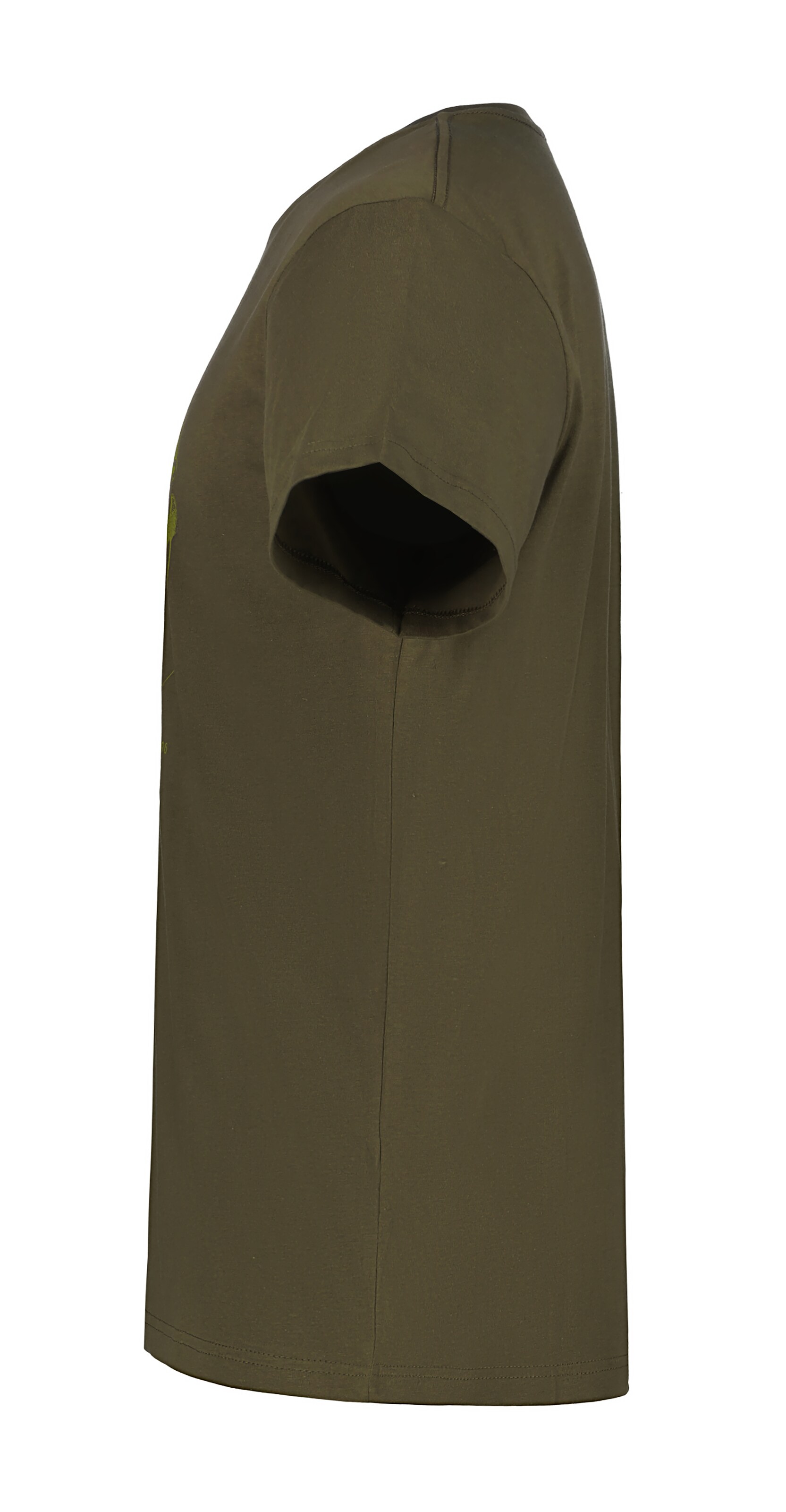 ICEPEAK Shirt in Green