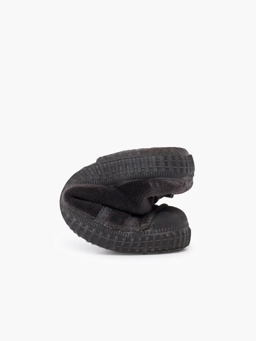 Pisamonas Sneakers in Grey