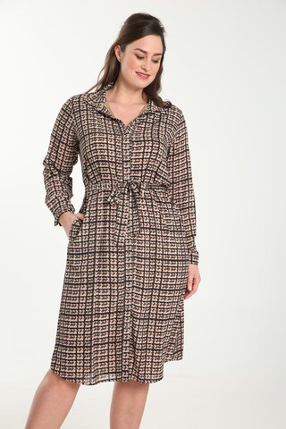 Promiss Dress in Brown: front