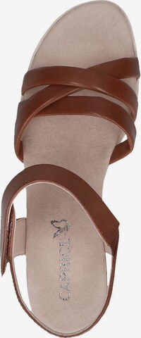 CAPRICE Sandalen met riem in Bruin