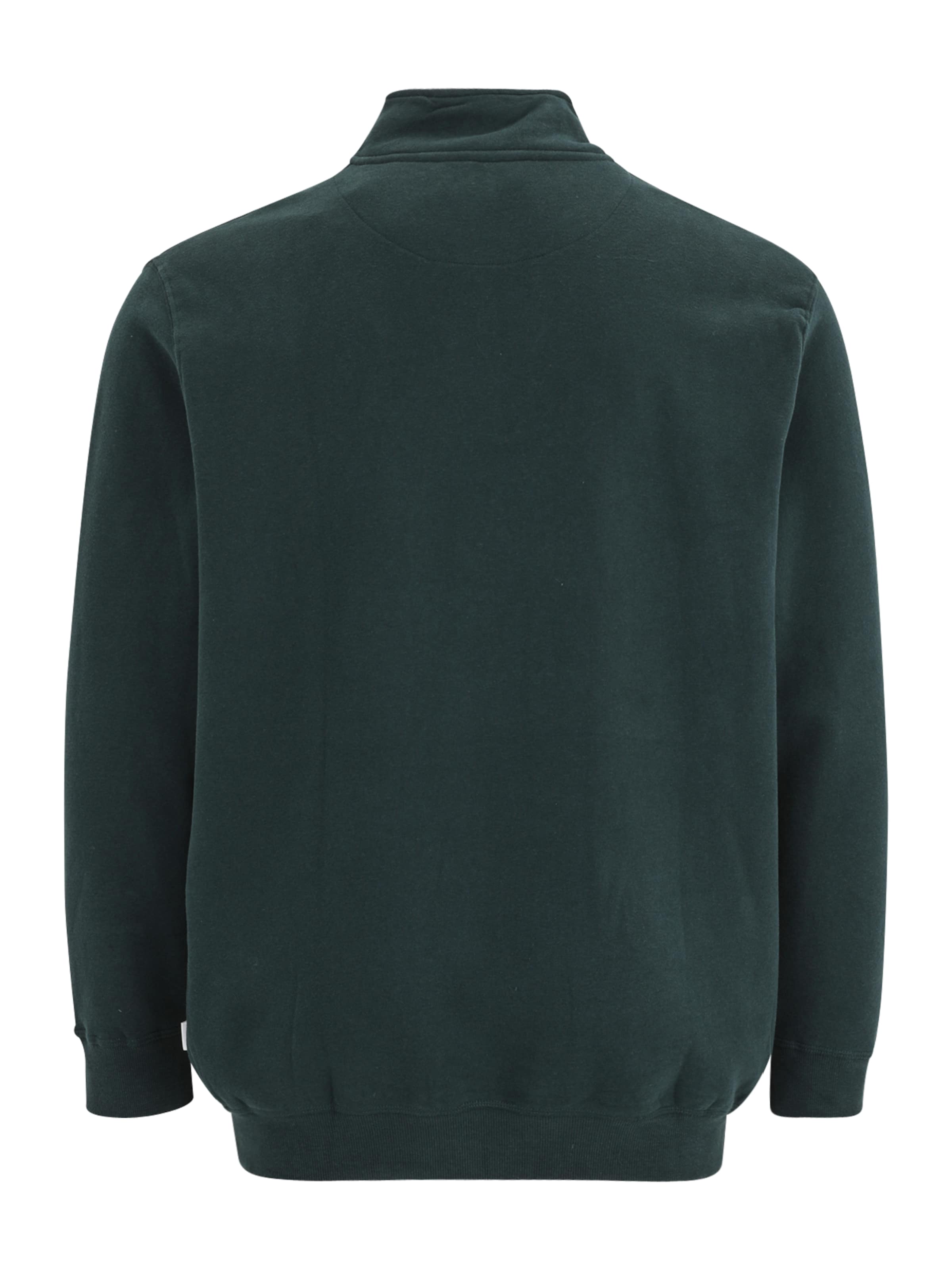 Jack & Jones Plus Sweatshirt 'JORBLEECKER' in Green