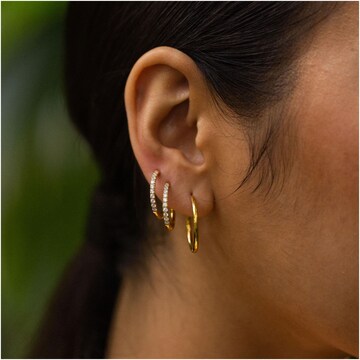PURELEI Earrings in Gold: front