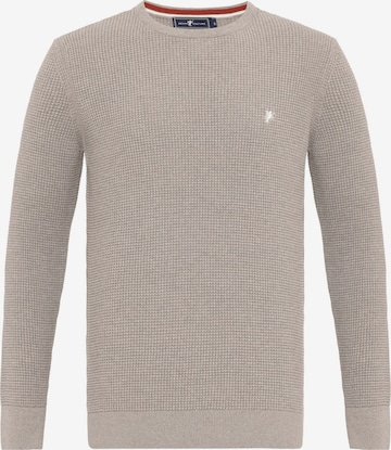 DENIM CULTURE Sweater 'ALJAMAIN' in Brown: front