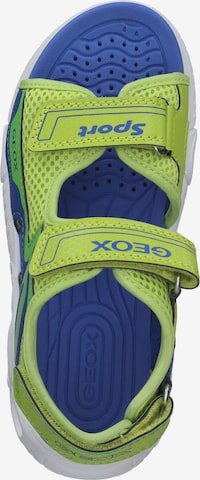 Chaussures ouvertes GEOX en vert