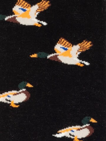 DillySocks Socks 'Short Duck Geometrics' in Mixed colors