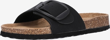 Cruz Mules 'KOMPAK' in Black: front