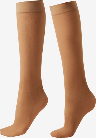 CALZEDONIA Socks in Beige: front