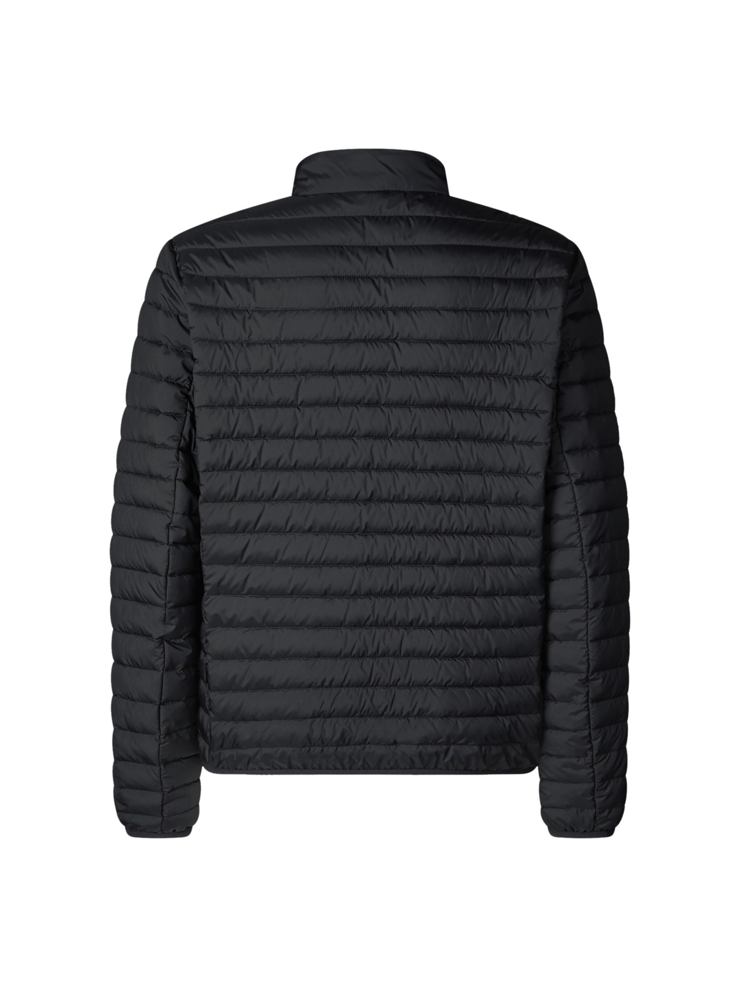 SAVE THE DUCK Jacke 'Cole' in Schwarz