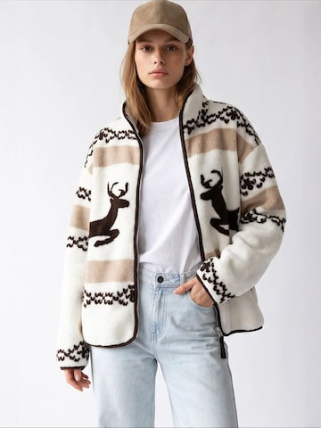 MixRaySweater majica 'Sweatshirts' - miks boja boja