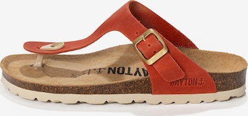 oranžinė Bayton Šlepetės per pirštą 'MERCURE': priekis