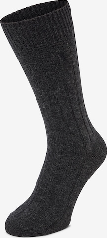 Polo Ralph Lauren Sokken in Grijs: voorkant