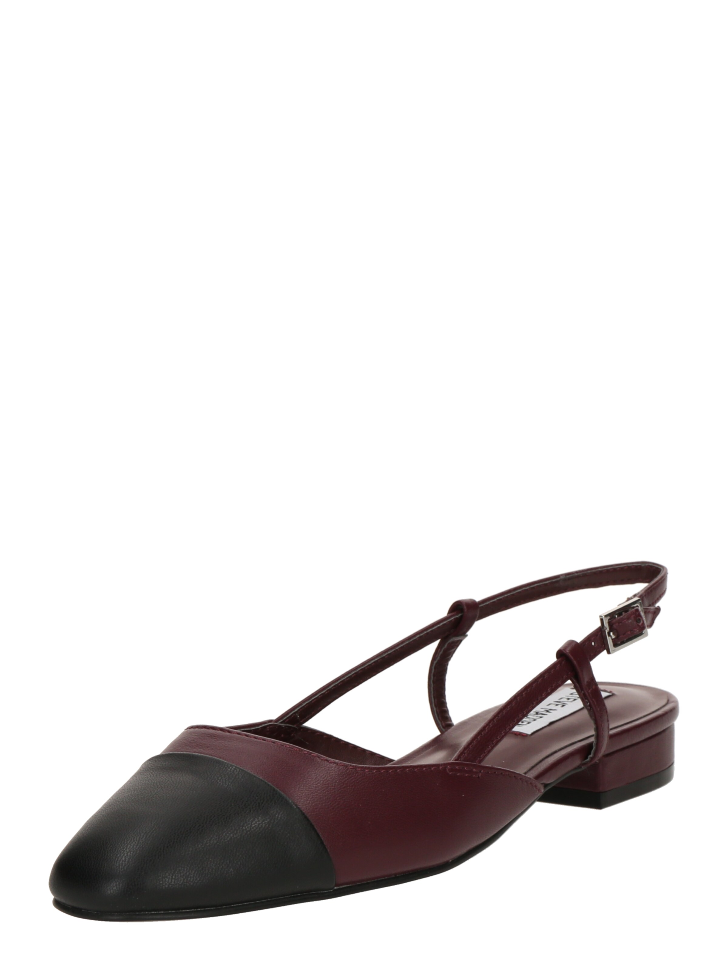 STEVE MADDEN Ballerina met riempjes 'BELINDA' in Zwart: voorkant