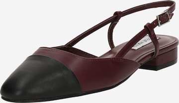 STEVE MADDEN Balerinka z rzemykiem 'BELINDA' w kolorze czarny: przód