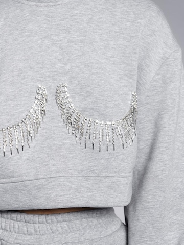 CACTUS THE BRAND Яке за трениране 'Cactus the Brand, Bluza crop de trening cu strasuri, Gri, M' в сиво