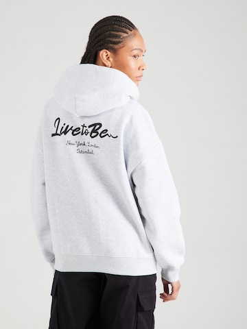 LTB - Sudadera con cremallera 'MIRONE' en gris