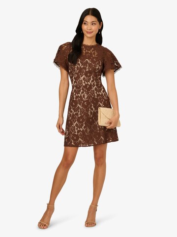 Adrianna Papell Cocktail Dress 'Lace' in Brown