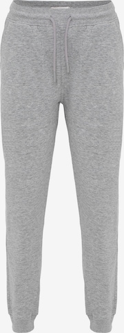 Jacey Quinn Trousers in Grey: front