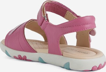 GEOX Sandals 'HAITI' in Pink