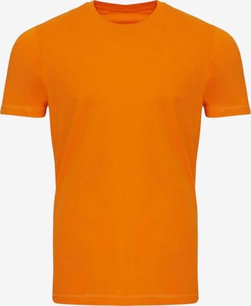 TEESHOPPEN Regular Fit Paita ' Organic Basic ' värissä oranssi: etupuoli
