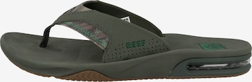 REEF Beach & Pool Shoes 'Fanning' in Green