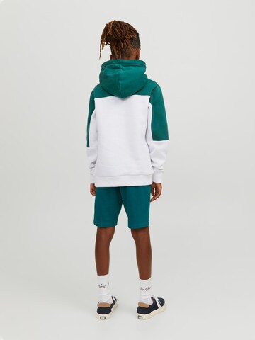 Jack & Jones Junior Sweatshirt 'Edan' in Green