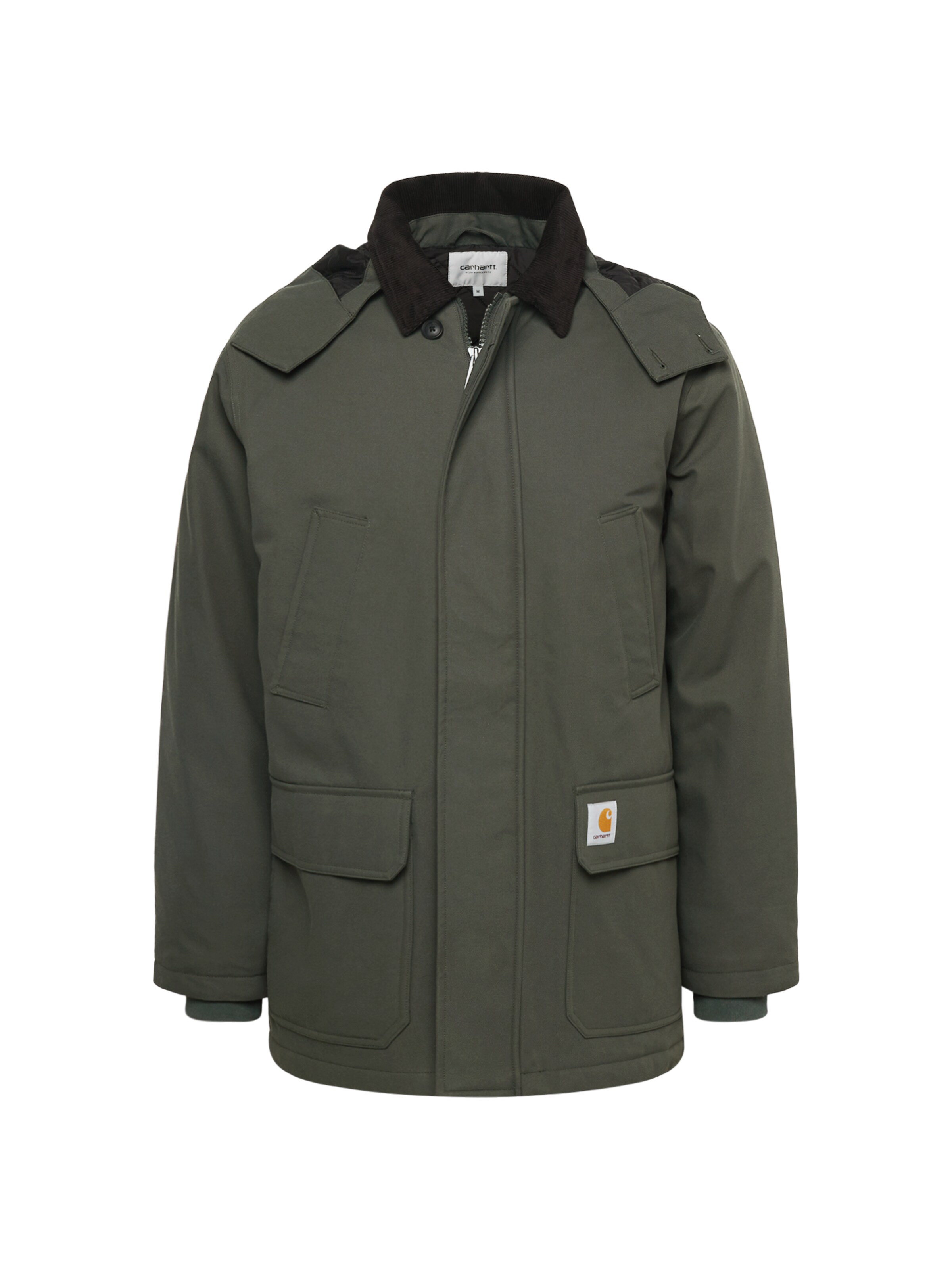 Carhartt WIP Winter parka 'Rigby' in Green: front