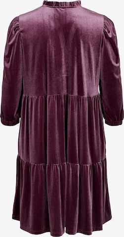 Robe Zizzi en violet