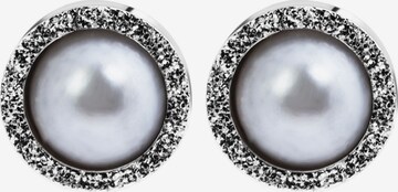 Akzent Earrings 'Edelstahl, langlebig' in Silver: front