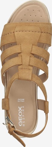 GEOX Sandals in Brown