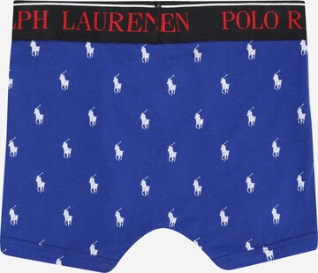 mėlyna Polo Ralph Lauren Apatinės kelnaitės