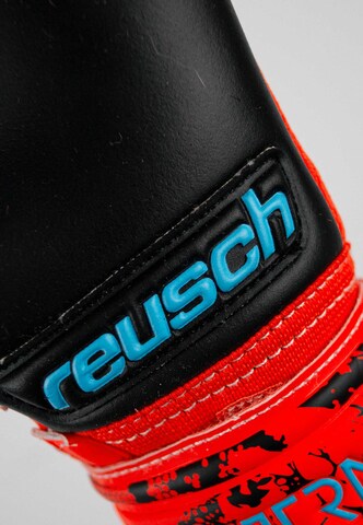 REUSCH Sporthandschuhe 'Attrakt Grip Evolution' in Rot