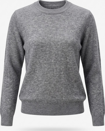 Viore Sweater 'Sweaters' in Grey: front