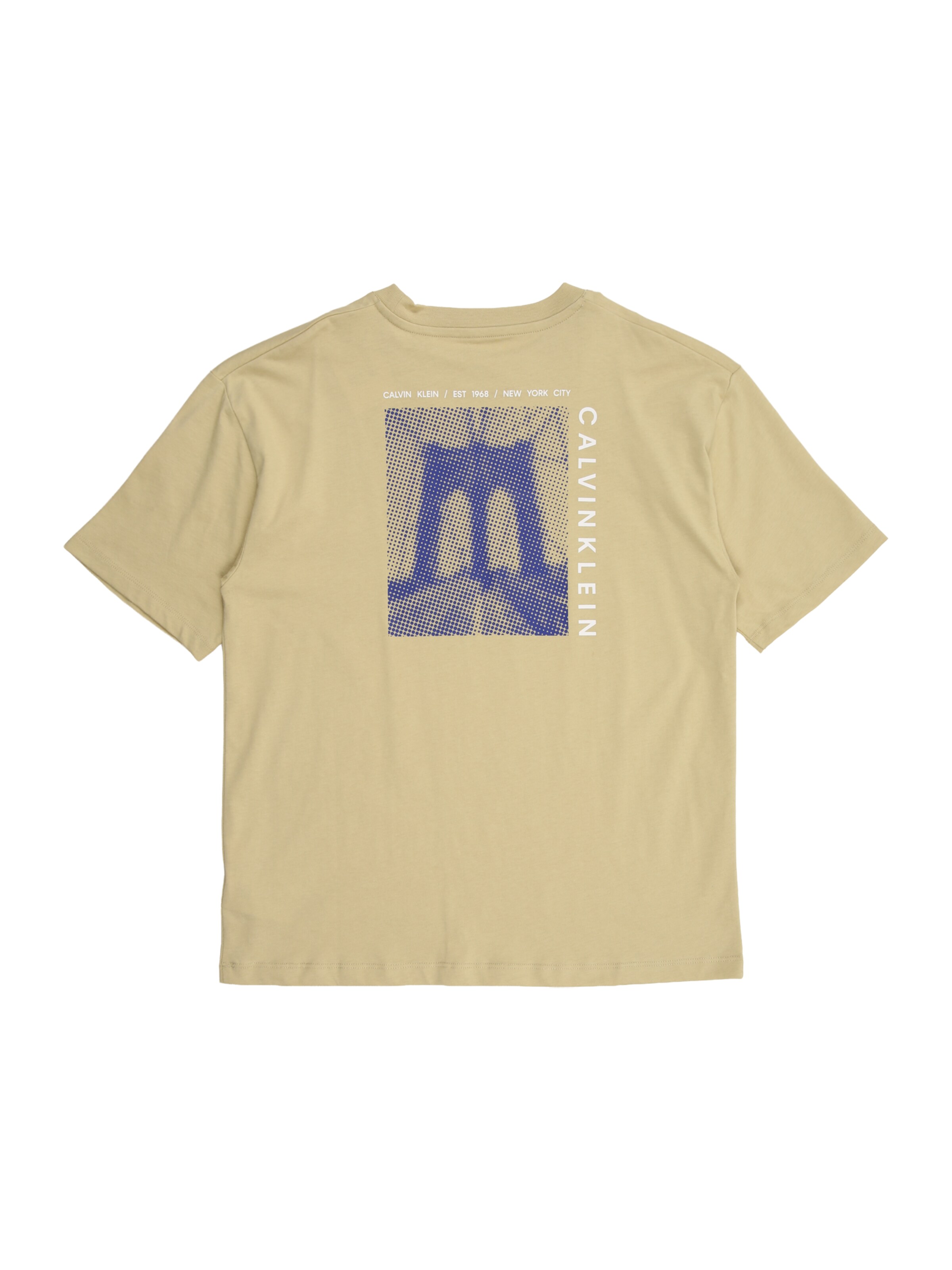 Calvin Klein Jeans T-shirt 'BRIDGE' i grön