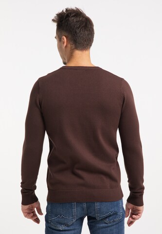 RAIDO Sweater in Brown