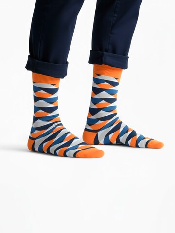 The Arctic Bay - Calcetines 'GAEA EDITION Gift box 4 Pack Unisex' en Mezcla de colores