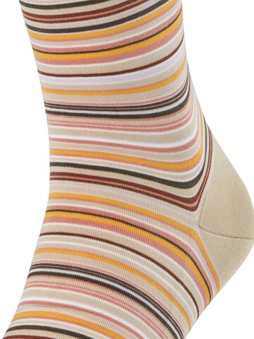 FALKE Socken 'Microblock'‌‌‌‌‌‌‌‌ in Beige
