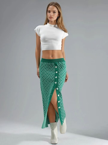 My fashion Rok in Groen