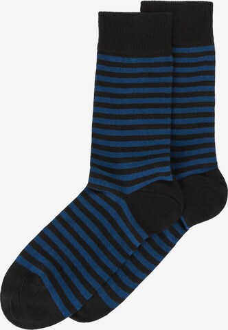 CALZEDONIA Socks in Blue: front