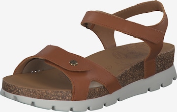 PANAMA JACK Sandalen met riem 'Sulia' in Bruin: voorkant