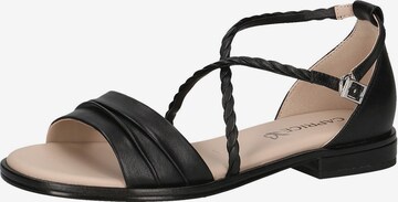 CAPRICE Sandals in Black: front